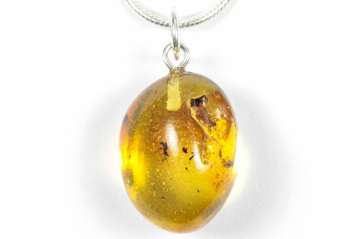 Polished Baltic Amber Pendant (Necklace) - Contains Fly! #357928